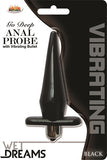 Wet Dreams Go Deep Anal Probe With Vibrating Bullet -