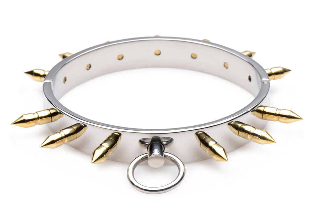 Stainless Steel Spiked Collar