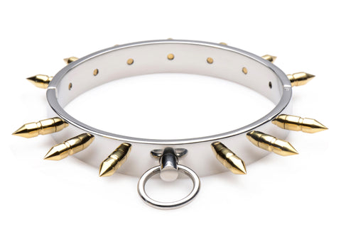 Stainless Steel Spiked Collar