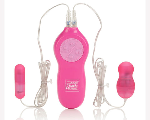 Passion Bullets Slim Bullet & Mini Probe - Pink